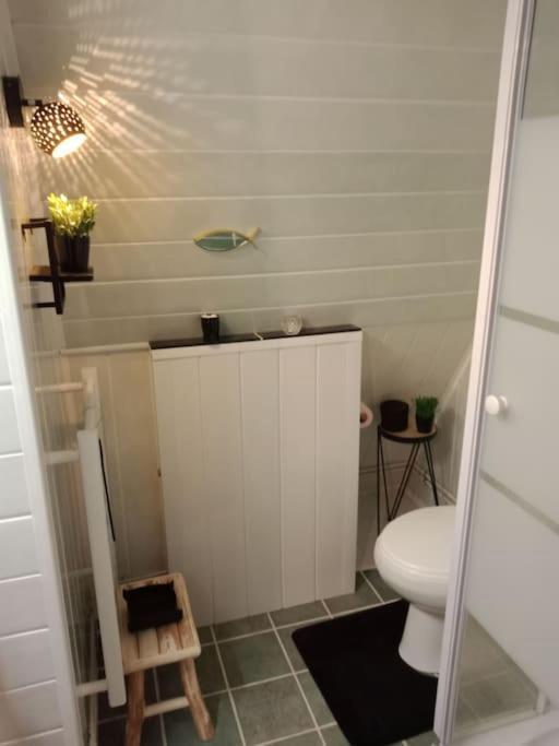 Chalet Micro Maison Isba Sedan *