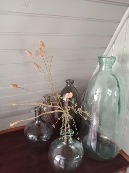 Micro Maison Isba Sedan Chalet Givonne